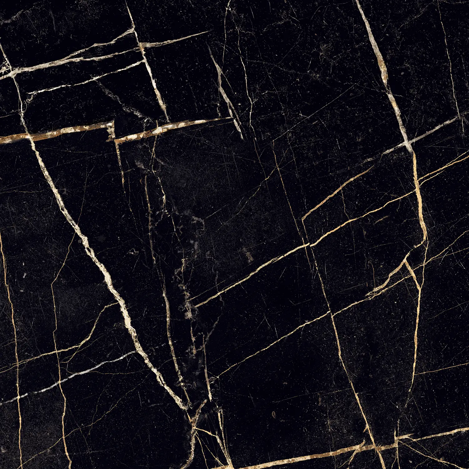EXT_marquina shiny_60x60_2