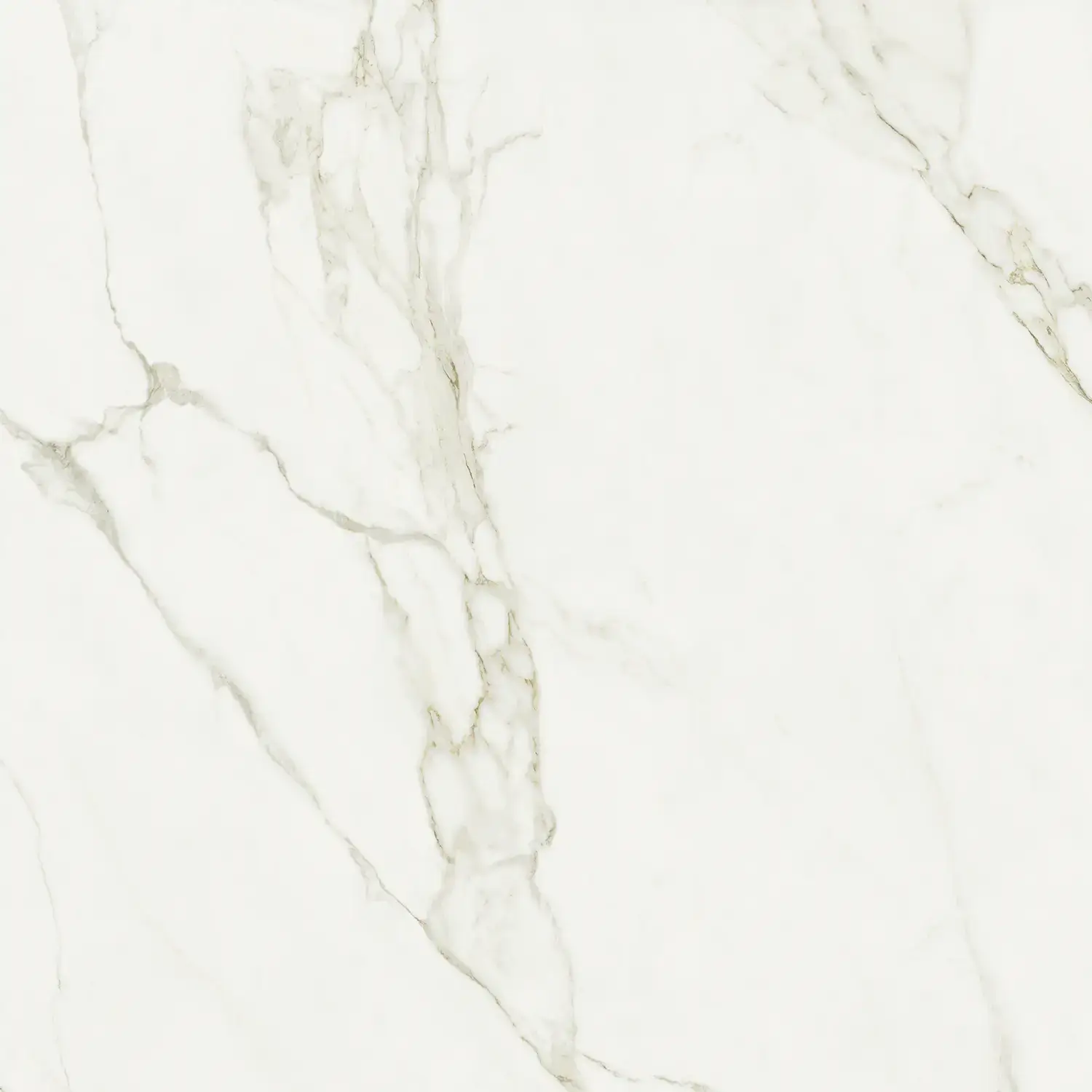 ATL_CALACATTA GREY 120X120_4