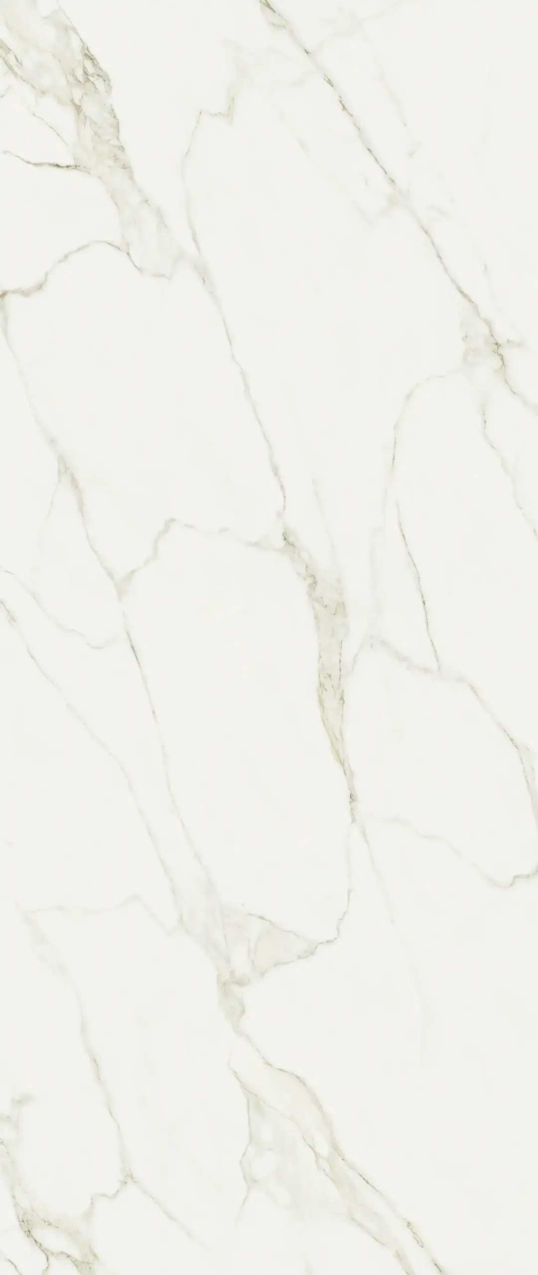 ATL_CALACATTA GREY 120X278_3