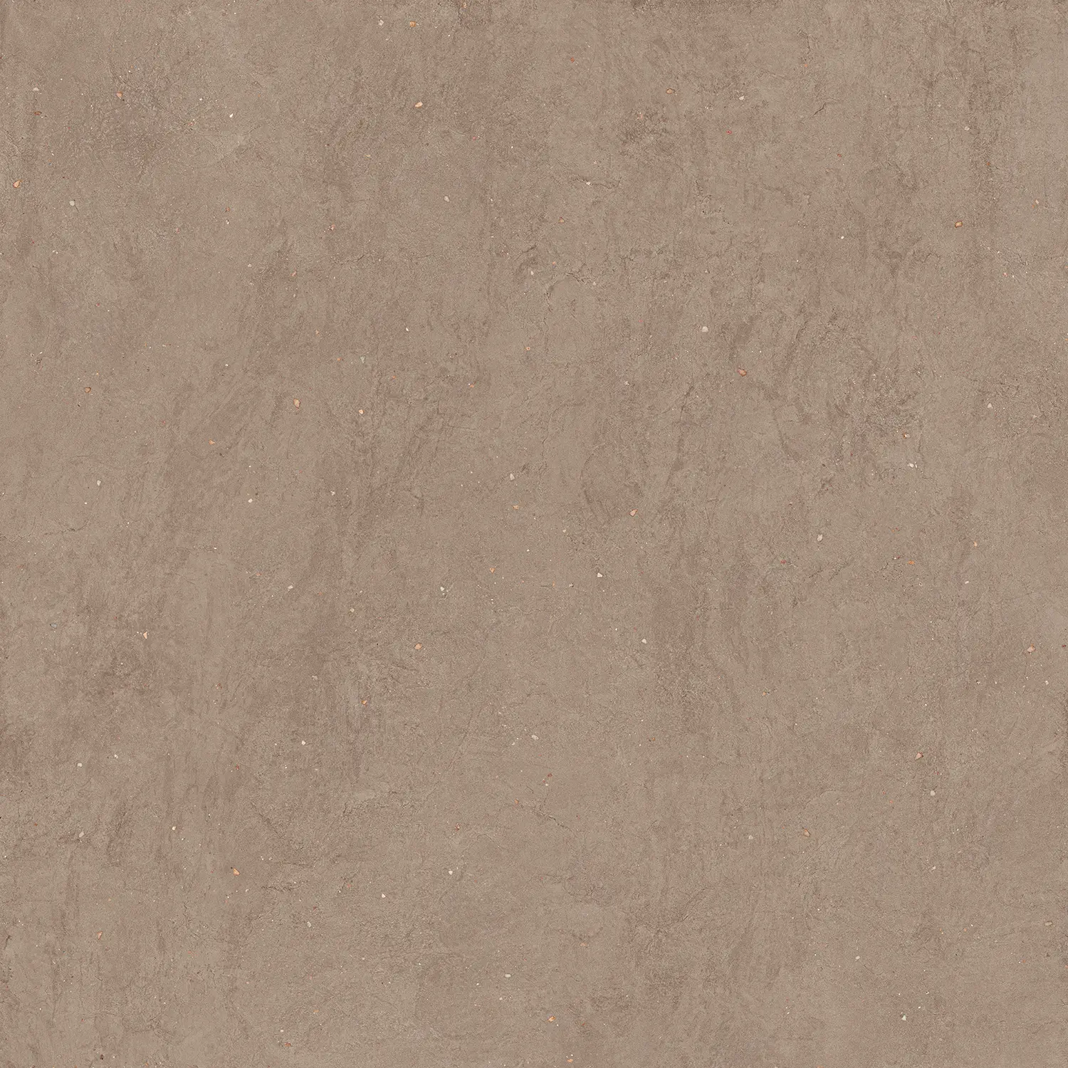 CNV186R_BRUN_120X120_1