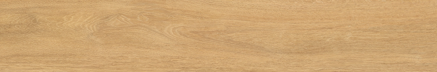 NORF31 AMBER 20x120 5